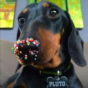 Meet your Posher, Terry