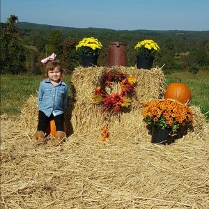 Meet your Posher, Chelsea