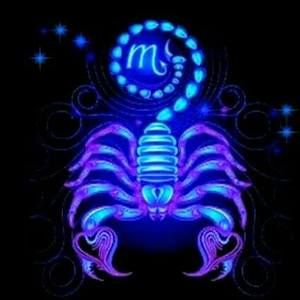 Meet your Posher, Daphne