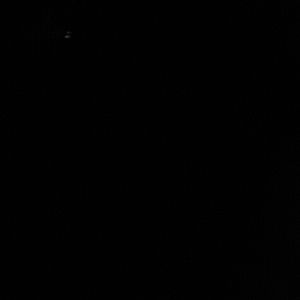 Meet your Posher, Hazel