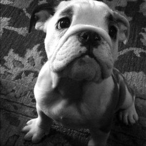 Meet your Posher, Kim