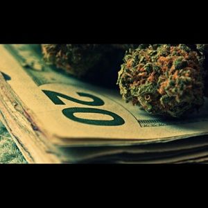 Meet your Posher, Freddy