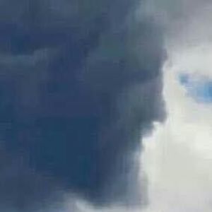 Meet your Posher, Marilyn