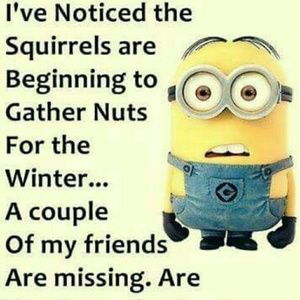 Meet your Posher, Quenay