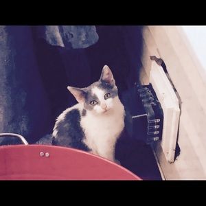 Meet your Posher, Denise