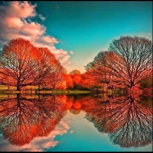 Meet your Posher, Christa