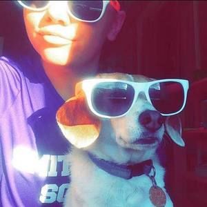 Meet your Posher, Dawn