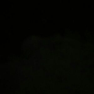 Meet your Posher, Tonia