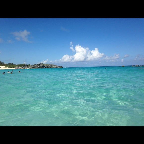 Meet your Posher, Shayne - Picture 2 of 2