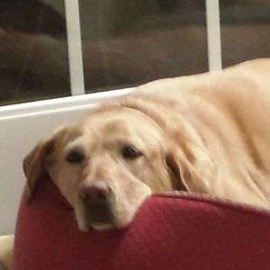 Meet your Posher, Wendy