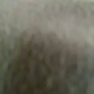 Meet your Posher, Bunny