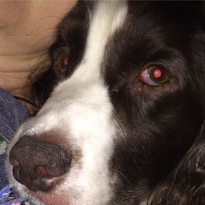 Meet your Posher, Christy