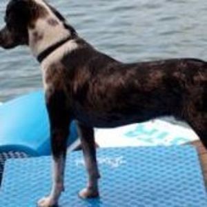 Meet your Posher, Catherine