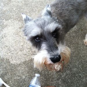 Meet your Posher, Debbie