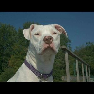 Meet your Posher, Liana