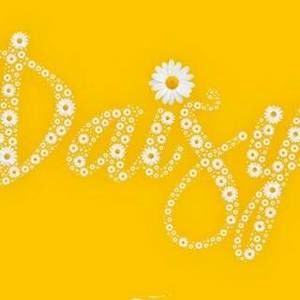 Meet your Posher, Lacy