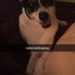 Meet your Posher, Shelly