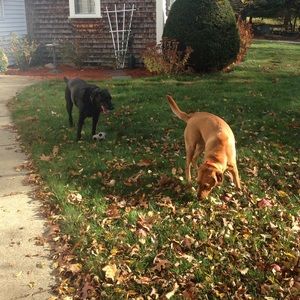 Meet your Posher, Joan