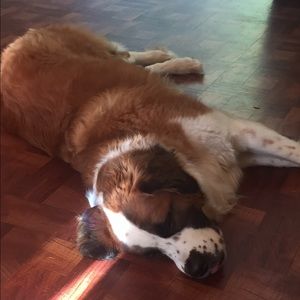 Meet your Posher, Melanie