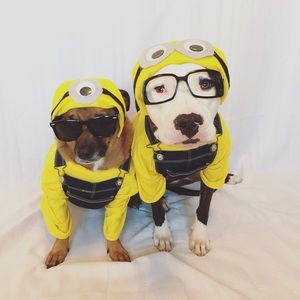 Meet your Posher, Morgan