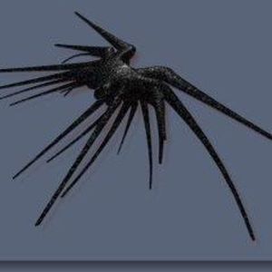 Meet your Posher, Tommy