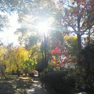 Meet your Posher, Merlyn