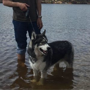 Meet your Posher, Michael