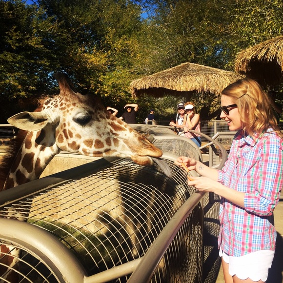 Meet your Posher, Jaclyn - Picture 2 of 4