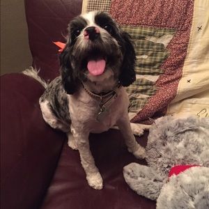 Meet your Posher, Anna