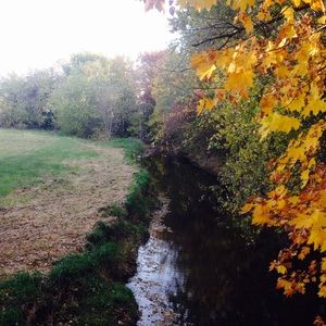 Meet your Posher, Claire