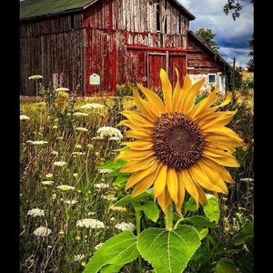 Meet your Posher, Sharon