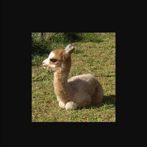 Meet your Posher, Michaela