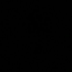 Meet your Posher, Thalia