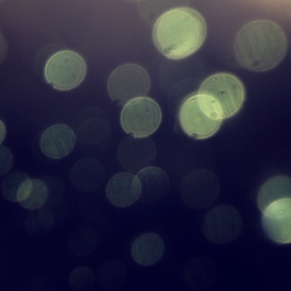 Meet your Posher, Karina