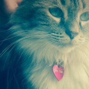 Meet your Posher, Molly