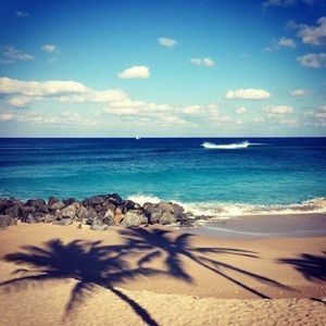 Meet your Posher, Tasia