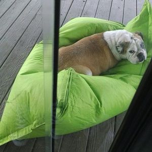 Meet your Posher, Tara