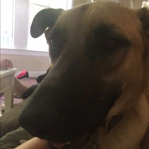 Meet your Posher, Allison