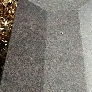 Meet your Posher, Avram