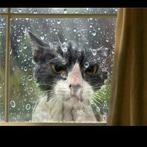 Meet your Posher, Jay