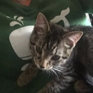 Meet your Posher, Donna