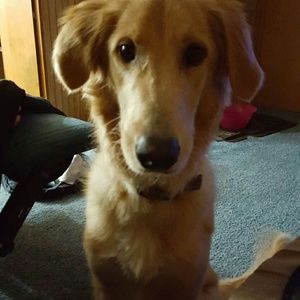 Meet your Posher, Angella