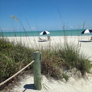 Meet your Posher, Ginger