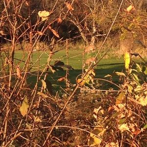 Meet your Posher, Krystal