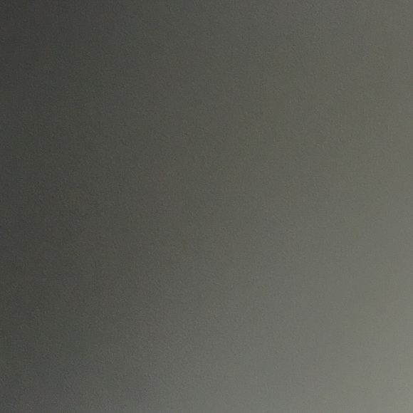 Meet your Posher, Bella