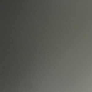 Meet your Posher, Bella