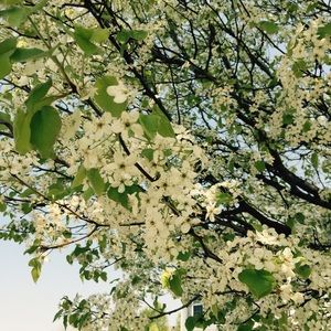 Meet your Posher, Jen