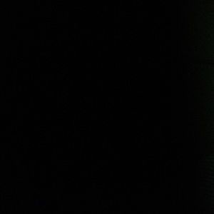 Meet your Posher, Diana