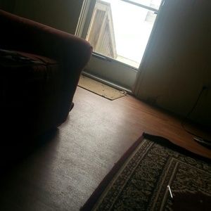 Meet your Posher, Delores