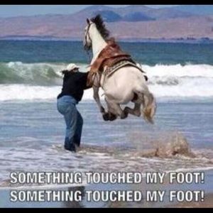 Meet your Posher, Leann